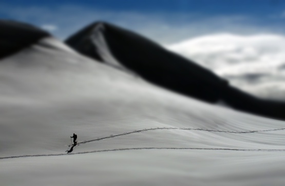 snow lone skier.jpg